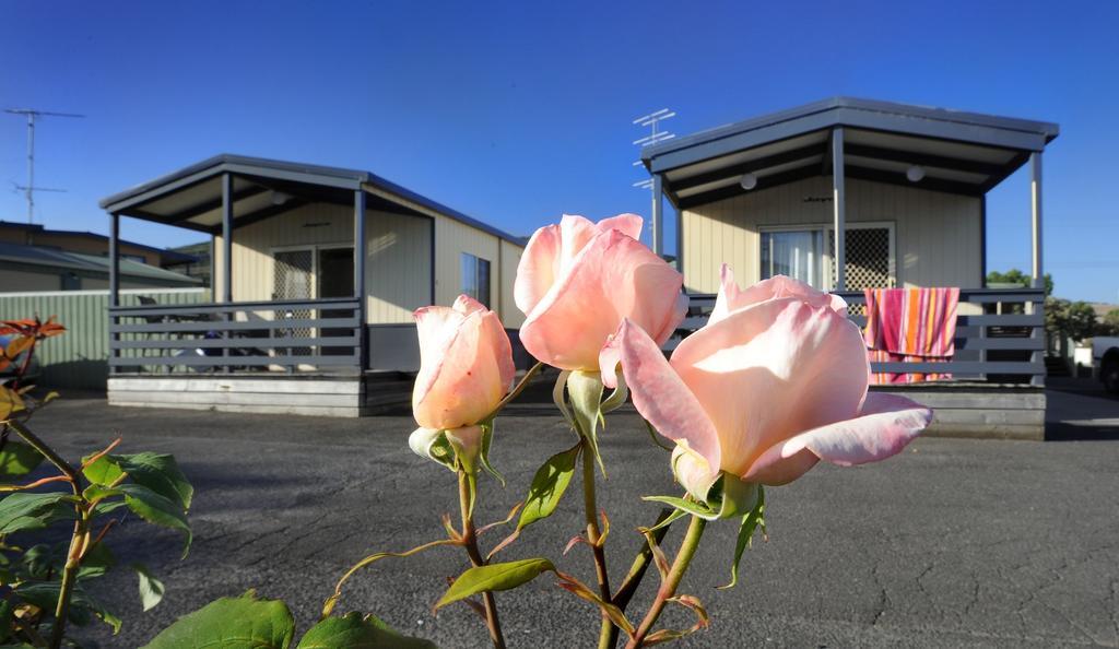 Apollo Bay Holiday Park Extérieur photo